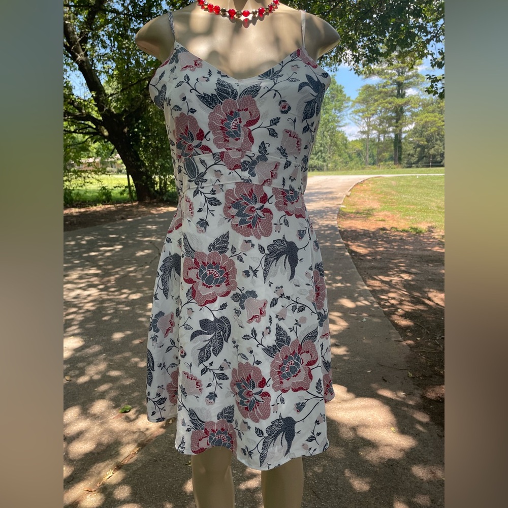 Ladies petite loft dress Size 2P
